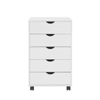 5-Drawer Storage Cabinet with Wheels