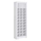 Contemporary Shoe Cabinet with Multiple Storage Capacity