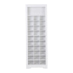 Contemporary Shoe Cabinet with Multiple Storage Capacity
